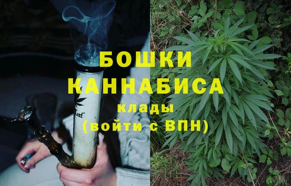 ECSTASY Волосово